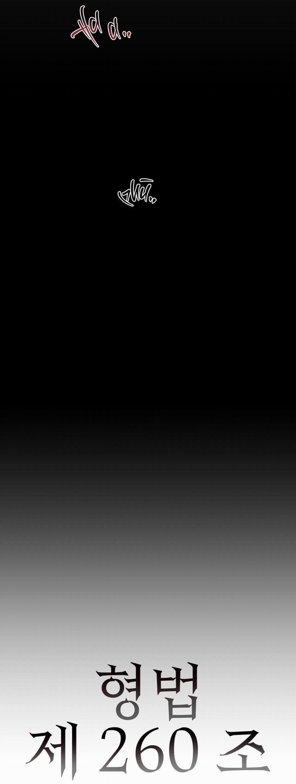 Điều 260 Bộ Luật Hình Sự 7 trang 3