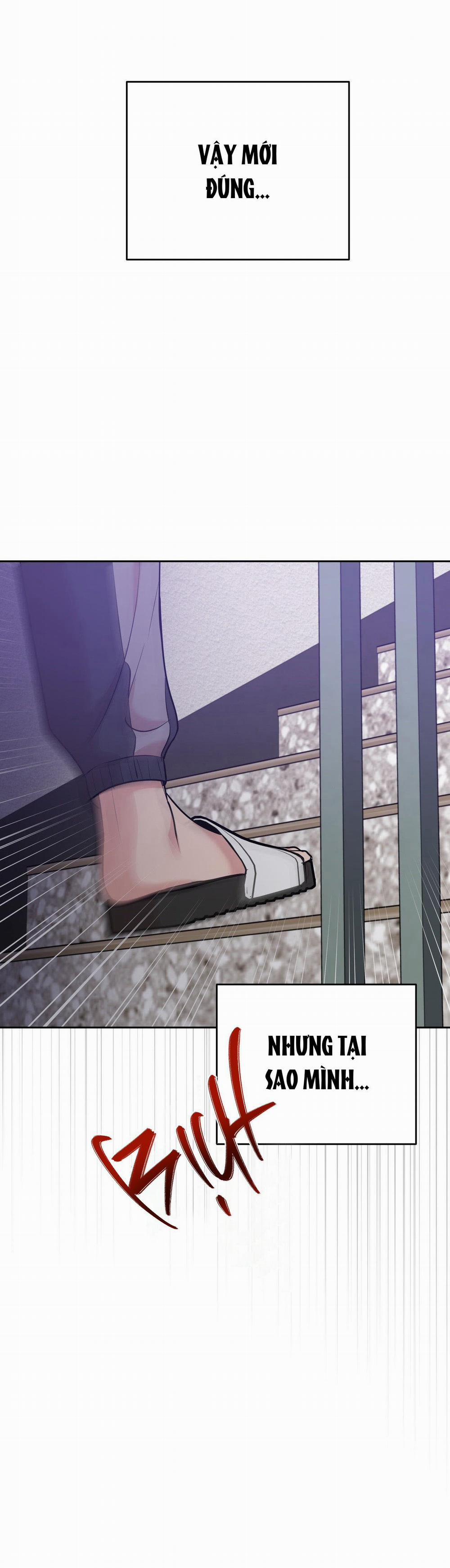 Điều 260 Bộ Luật Hình Sự 7 trang 35