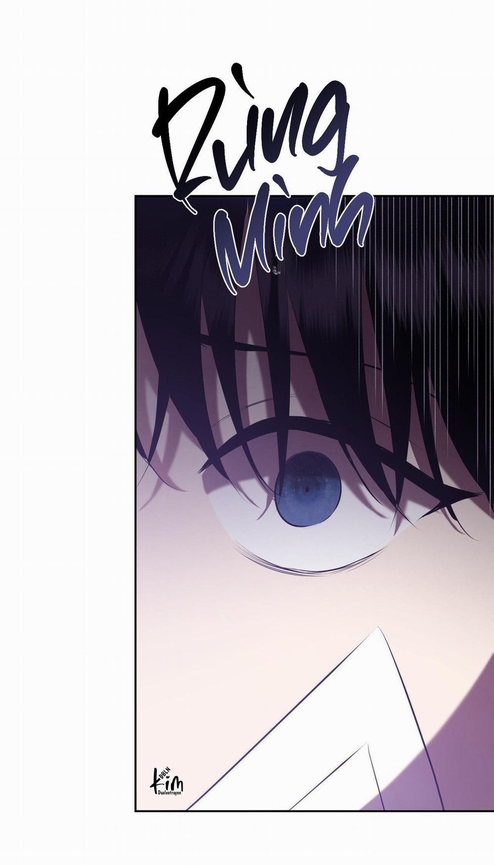 Điều 260 Bộ Luật Hình Sự 8 trang 26