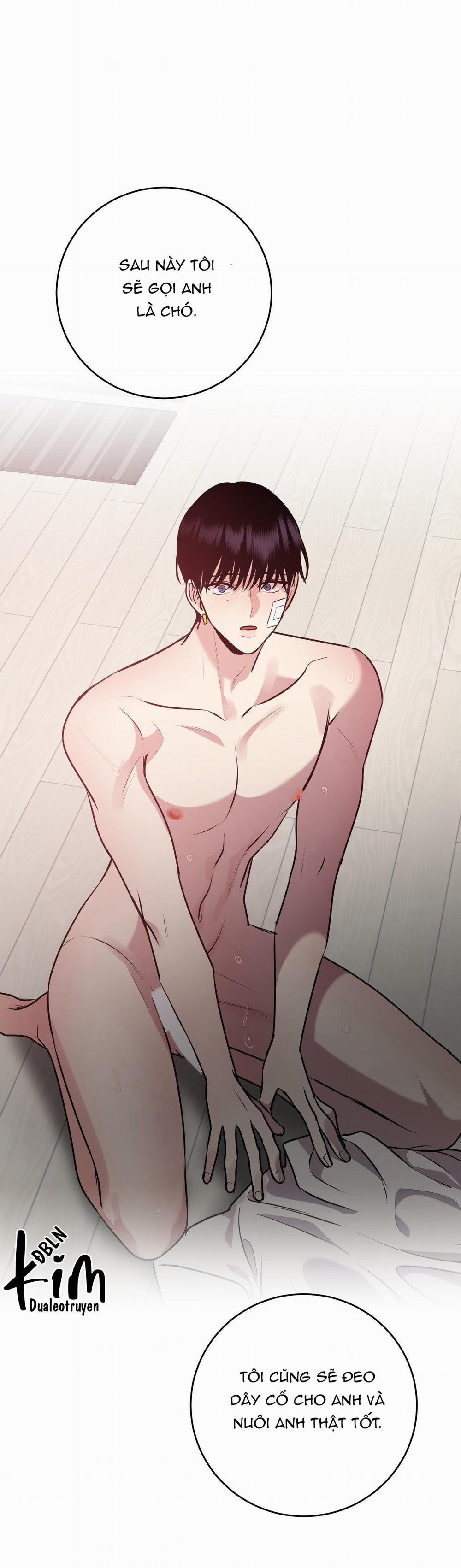 Điều 260 Bộ Luật Hình Sự 9 trang 1