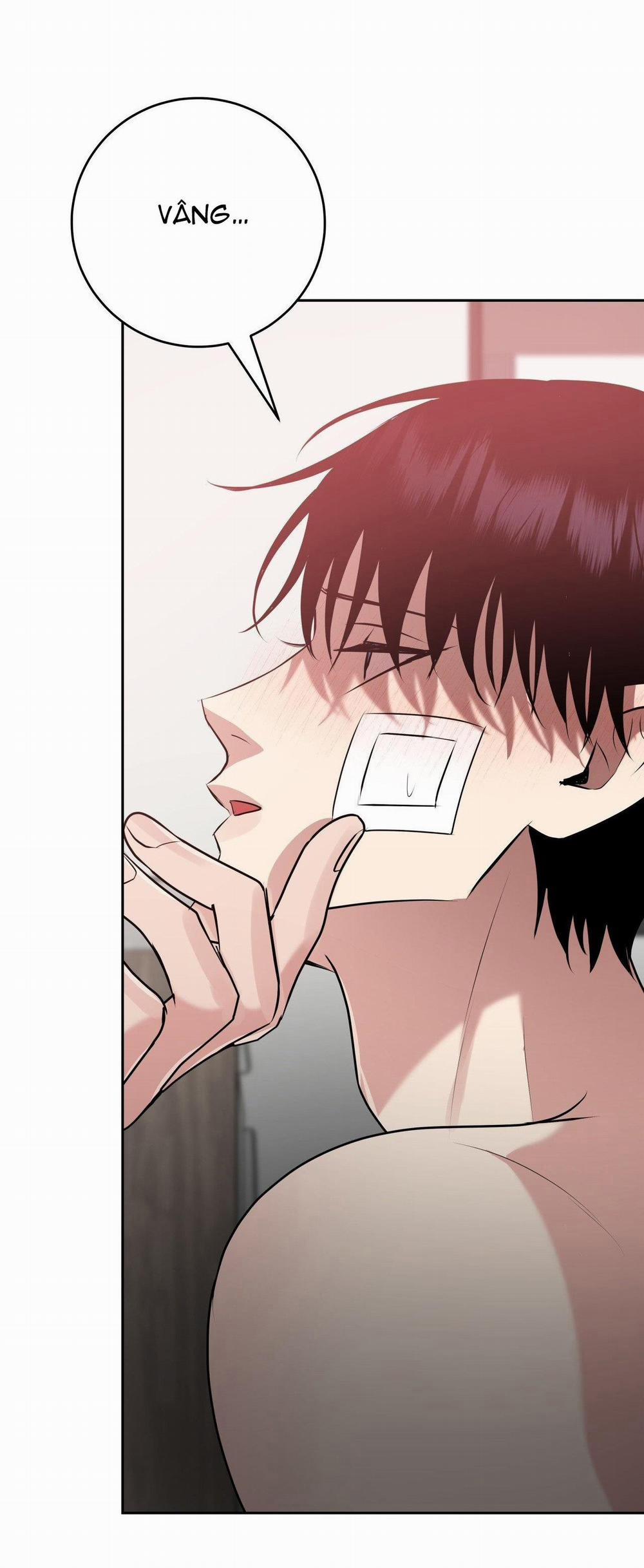 Điều 260 Bộ Luật Hình Sự 9 trang 10