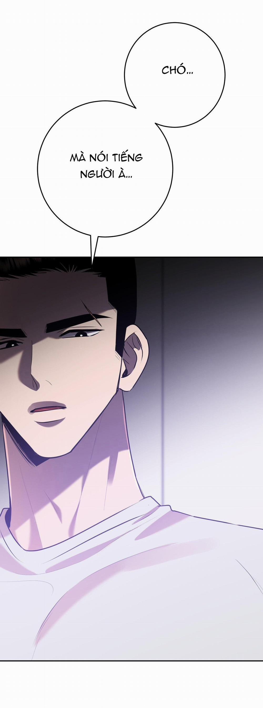 Điều 260 Bộ Luật Hình Sự 9 trang 11