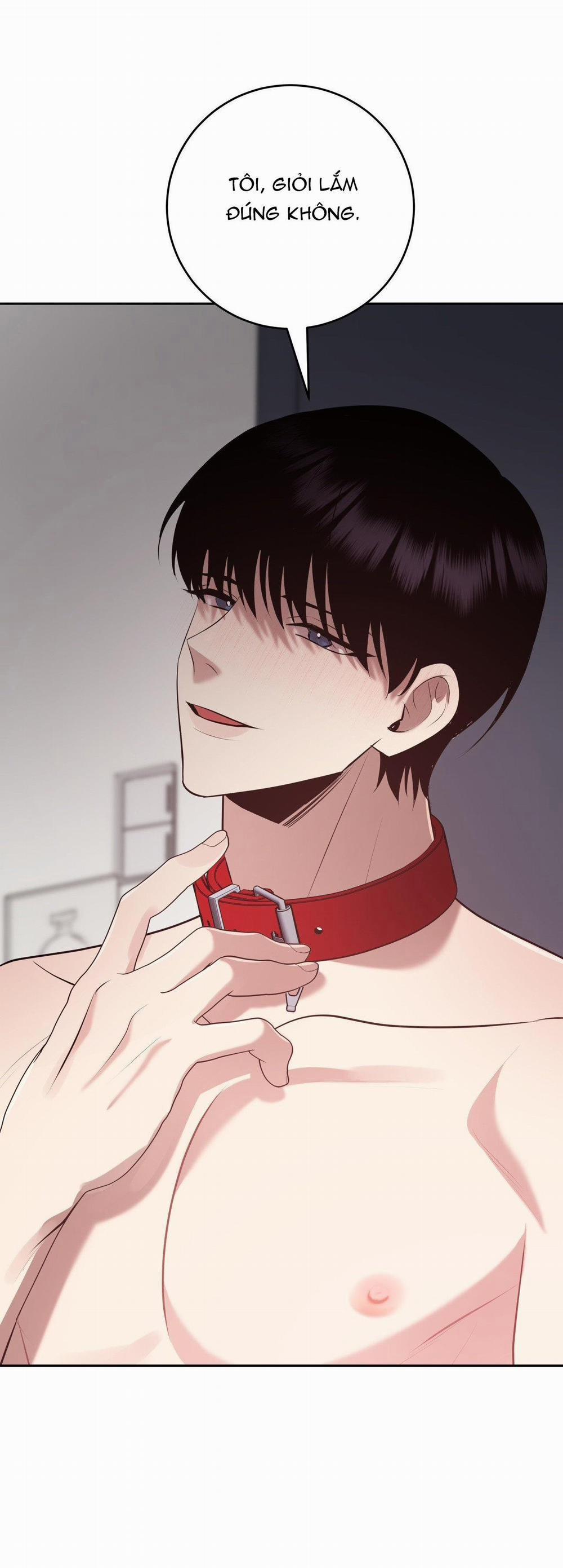 Điều 260 Bộ Luật Hình Sự 9 trang 23