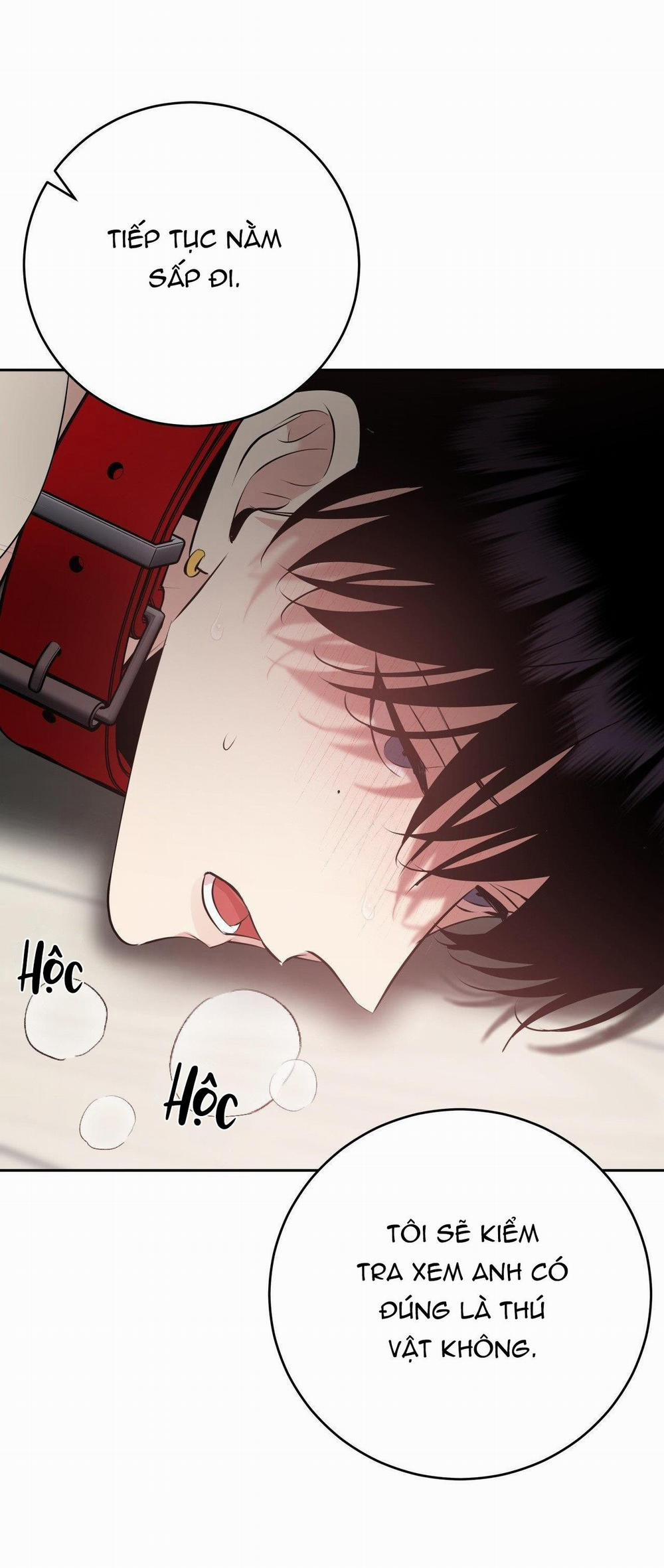 Điều 260 Bộ Luật Hình Sự 9 trang 27