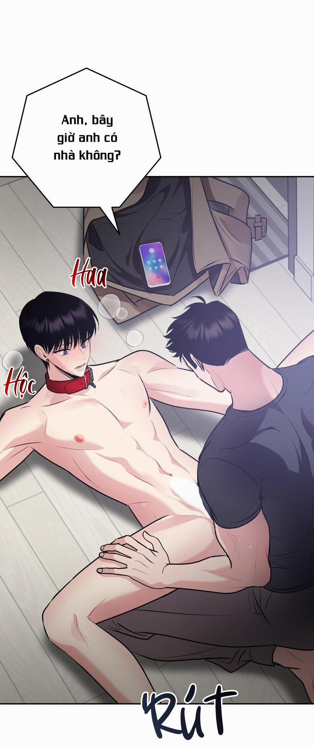 Điều 260 Bộ Luật Hình Sự 9 trang 37