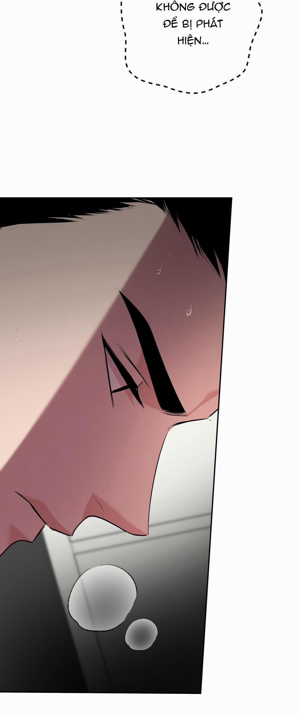 Điều 260 Bộ Luật Hình Sự 9 trang 47