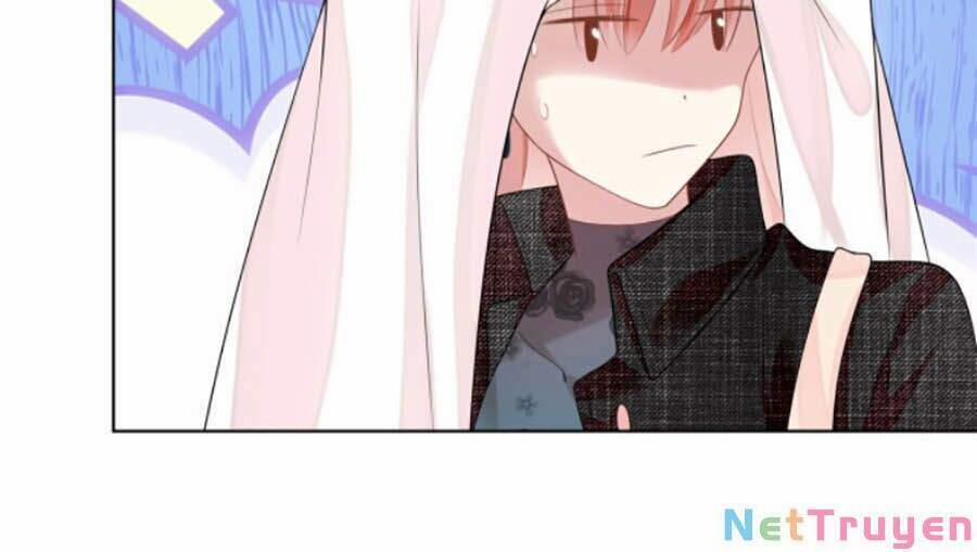 Diêu Diêu Yêu Dấu, Cuối Cùng Sủng Được Em Rồi 17 trang 11