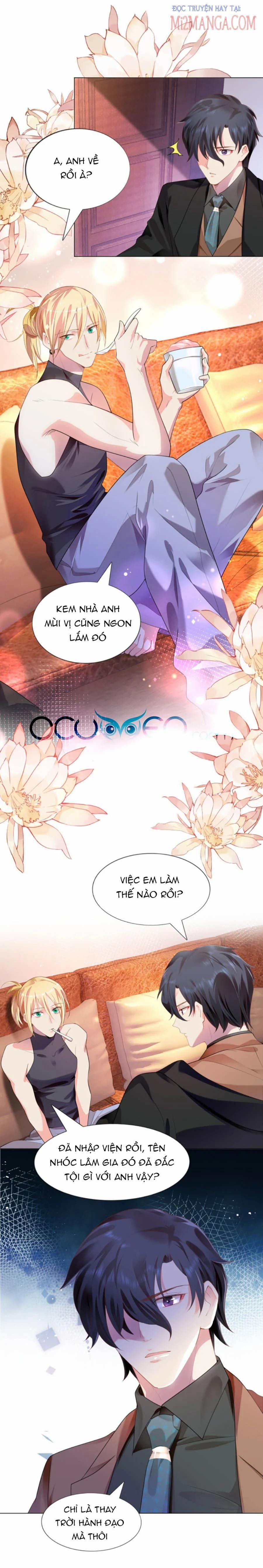 Diêu Diêu Yêu Dấu, Cuối Cùng Sủng Được Em Rồi 18 trang 1