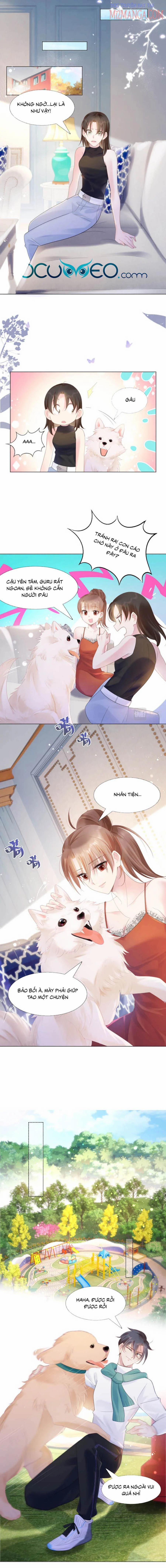 Diêu Diêu Yêu Dấu, Cuối Cùng Sủng Được Em Rồi 2 trang 0