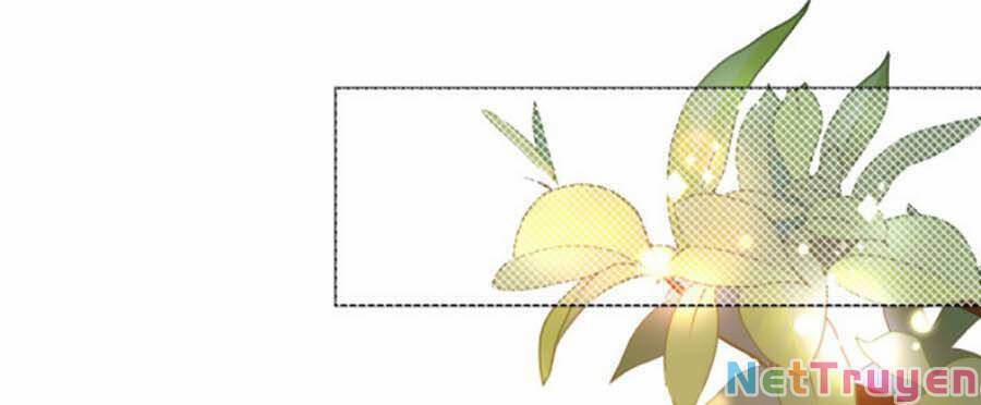 Diêu Diêu Yêu Dấu, Cuối Cùng Sủng Được Em Rồi 21 trang 17