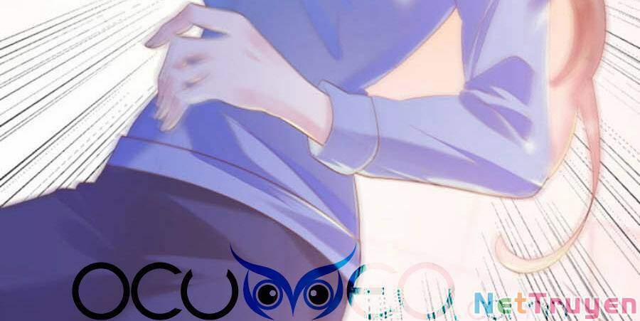 Diêu Diêu Yêu Dấu, Cuối Cùng Sủng Được Em Rồi 24 trang 2