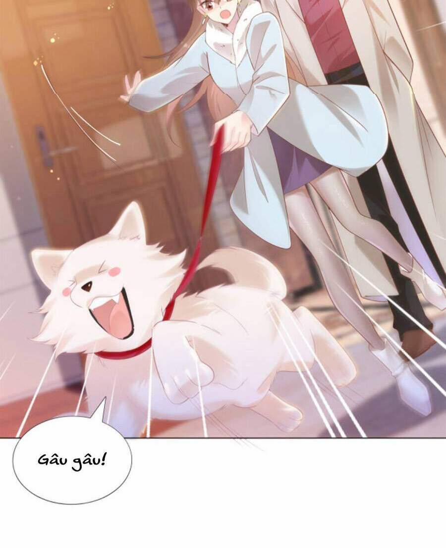 Diêu Diêu Yêu Dấu, Cuối Cùng Sủng Được Em Rồi 30 trang 7