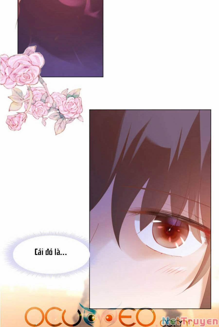 Diêu Diêu Yêu Dấu, Cuối Cùng Sủng Được Em Rồi 31 trang 1