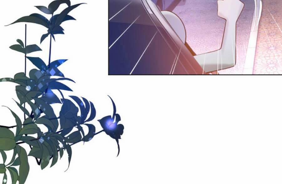 Diêu Diêu Yêu Dấu, Cuối Cùng Sủng Được Em Rồi 37 trang 9