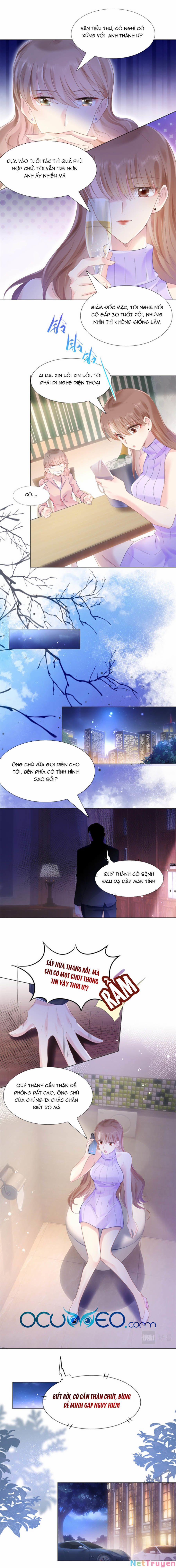 Diêu Diêu Yêu Dấu, Cuối Cùng Sủng Được Em Rồi 4 trang 2