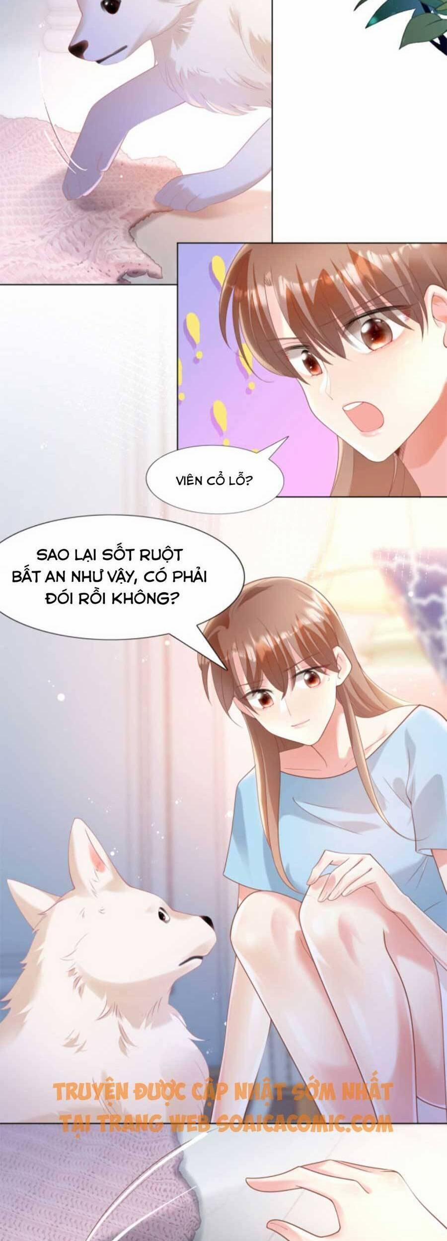 Diêu Diêu Yêu Dấu, Cuối Cùng Sủng Được Em Rồi 41 trang 1