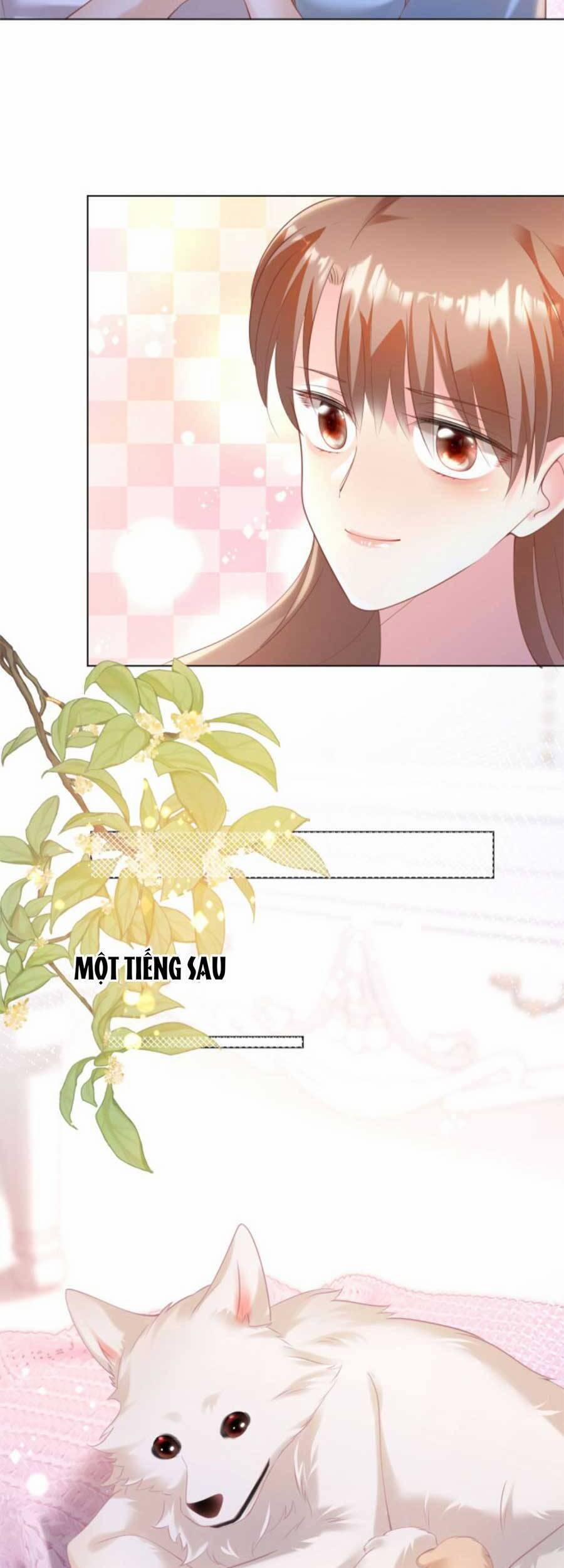 Diêu Diêu Yêu Dấu, Cuối Cùng Sủng Được Em Rồi 41 trang 15