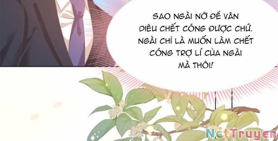 Diêu Diêu Yêu Dấu, Cuối Cùng Sủng Được Em Rồi 44 trang 15