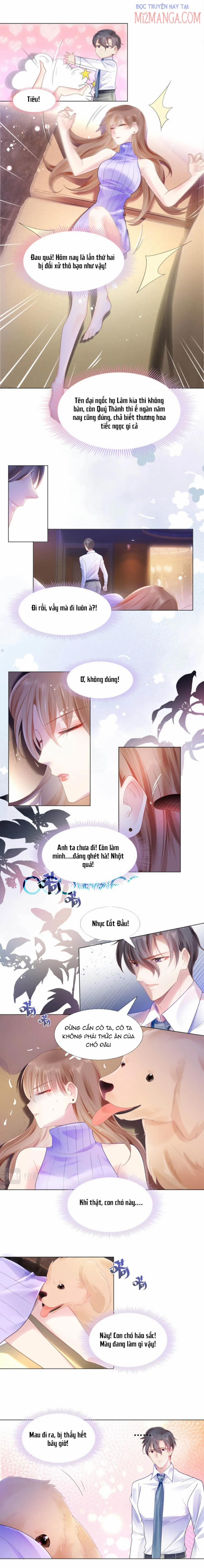 Diêu Diêu Yêu Dấu, Cuối Cùng Sủng Được Em Rồi 5 trang 2