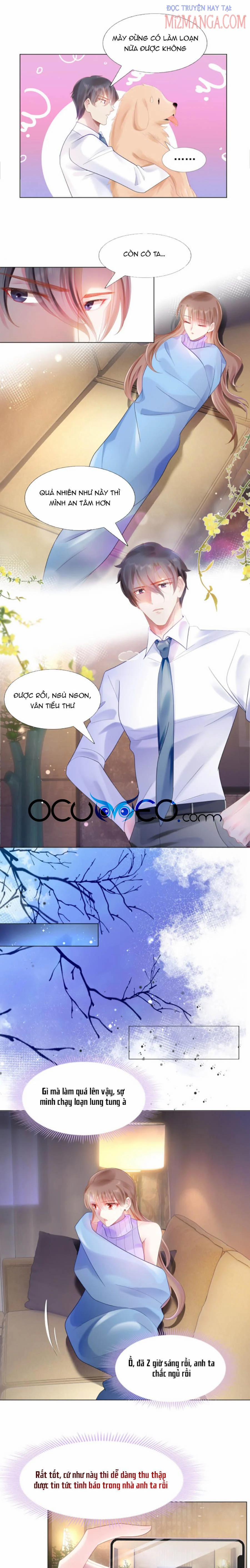 Diêu Diêu Yêu Dấu, Cuối Cùng Sủng Được Em Rồi 5 trang 3