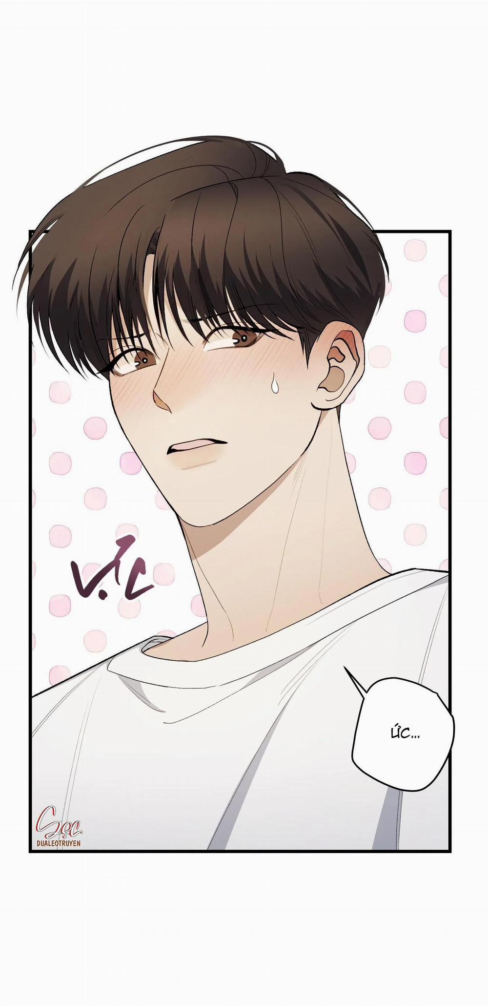 Điều Kiện Của Guide 19 trang 41