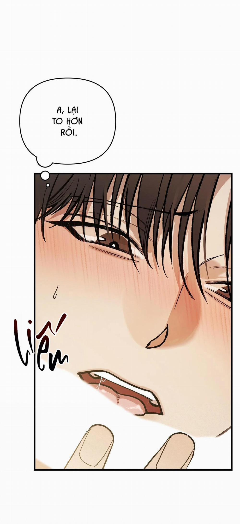 Điều Kiện Của Guide 20 trang 21