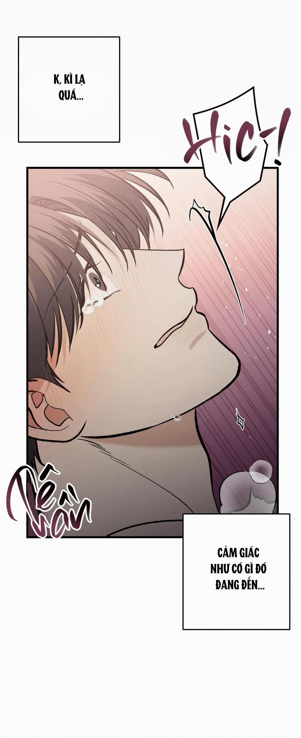 Điều Kiện Của Guide 20 trang 62