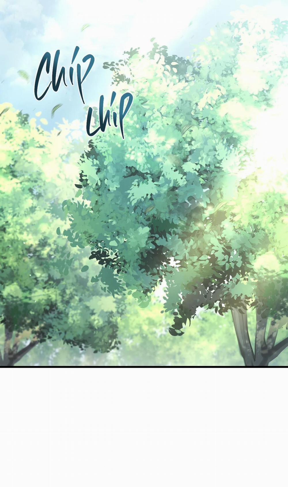 Điều Kiện Của Guide 21 trang 2