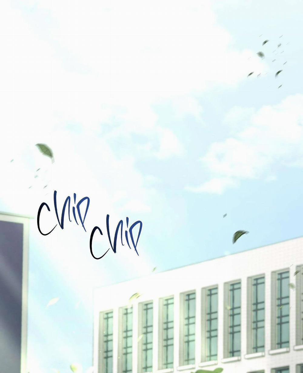 Điều Kiện Của Guide 28 trang 2