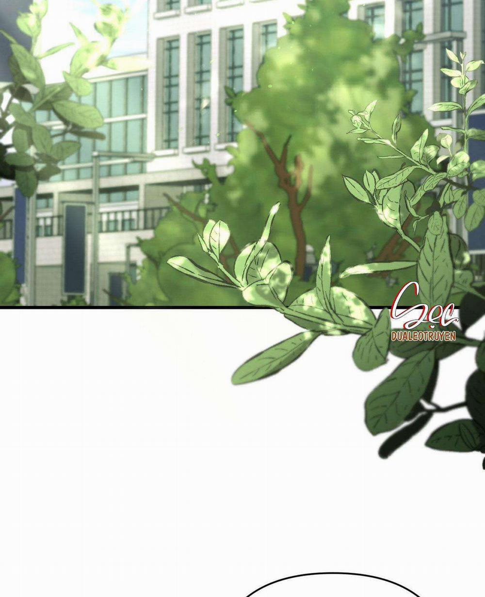 Điều Kiện Của Guide 28 trang 3