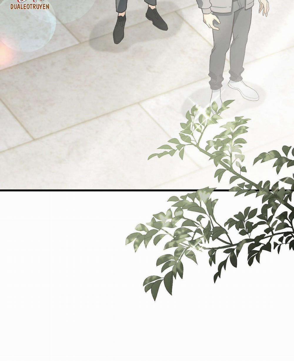 Điều Kiện Của Guide 28 trang 65