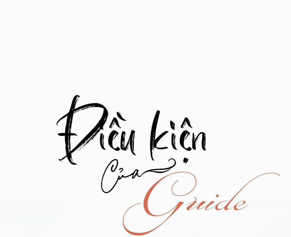 Điều Kiện Của Guide 29 trang 15