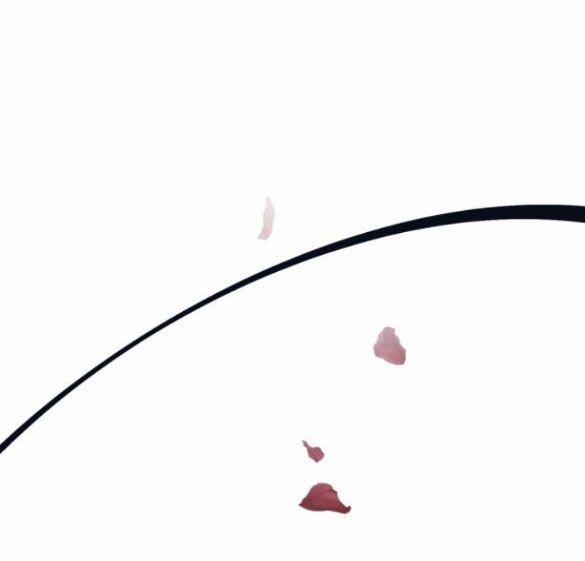 Điệu Nhảy Say Mê Giữa Màn Đêm 11 trang 18