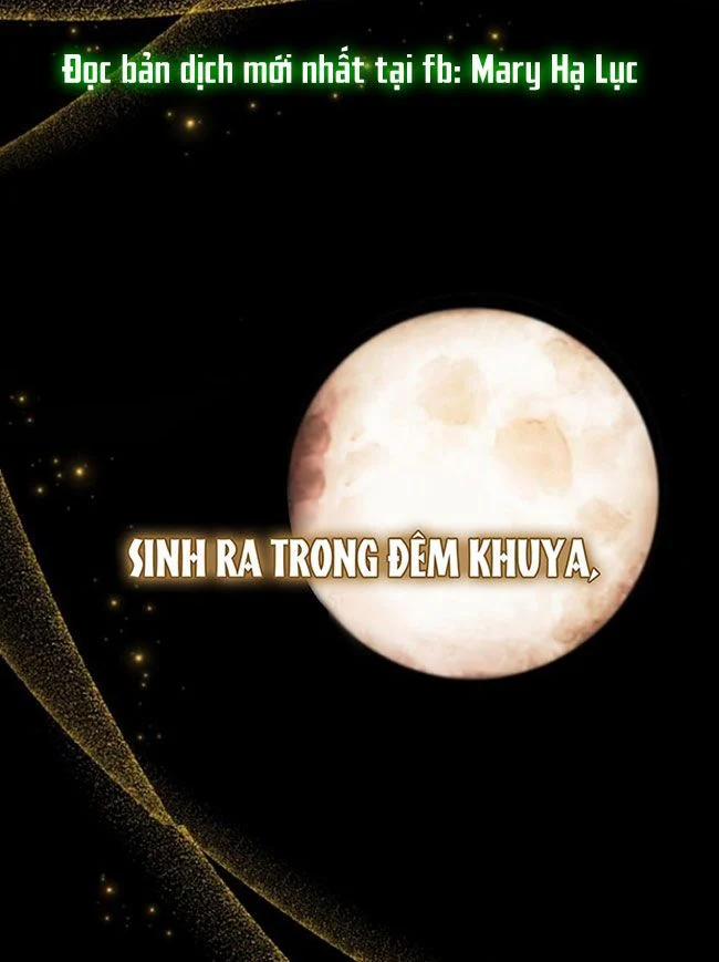 Điệu Nhảy Say Mê Giữa Màn Đêm 12 trang 3