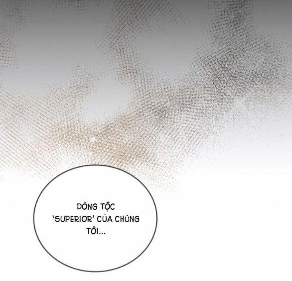 Điệu Nhảy Say Mê Giữa Màn Đêm 4 trang 44