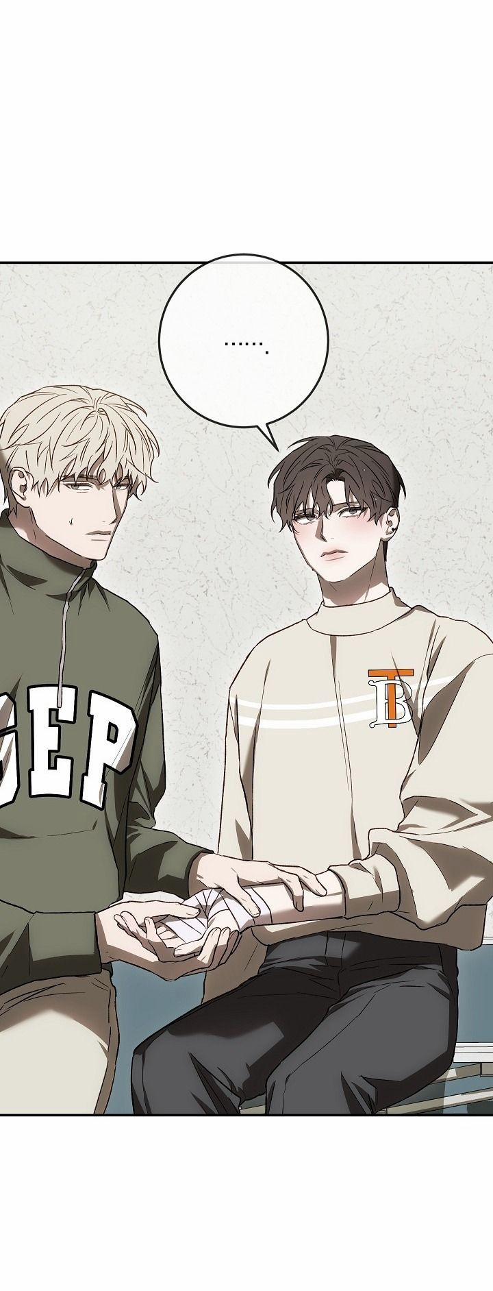 Điều Quý Giá 8 trang 48