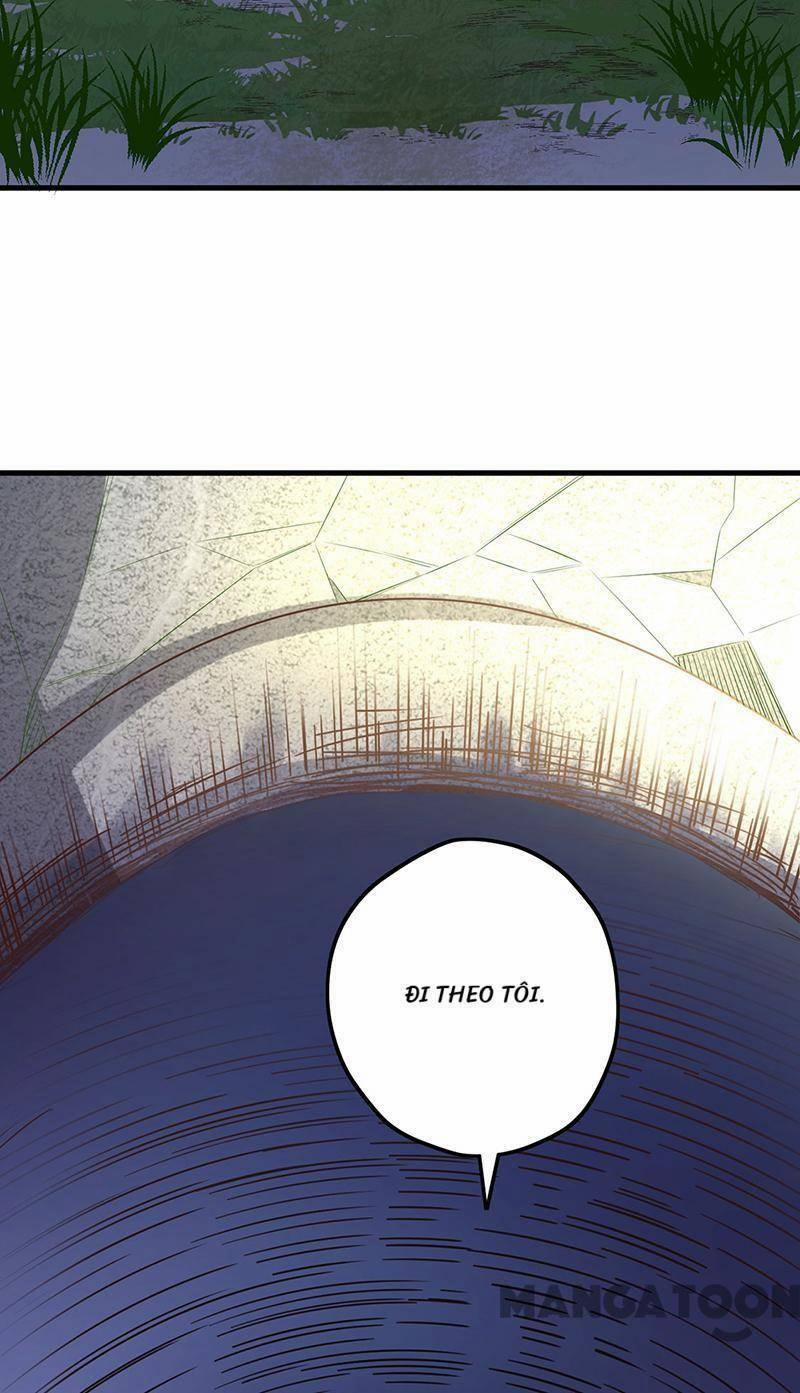 Diệu Thủ Cuồng Y 260 trang 15