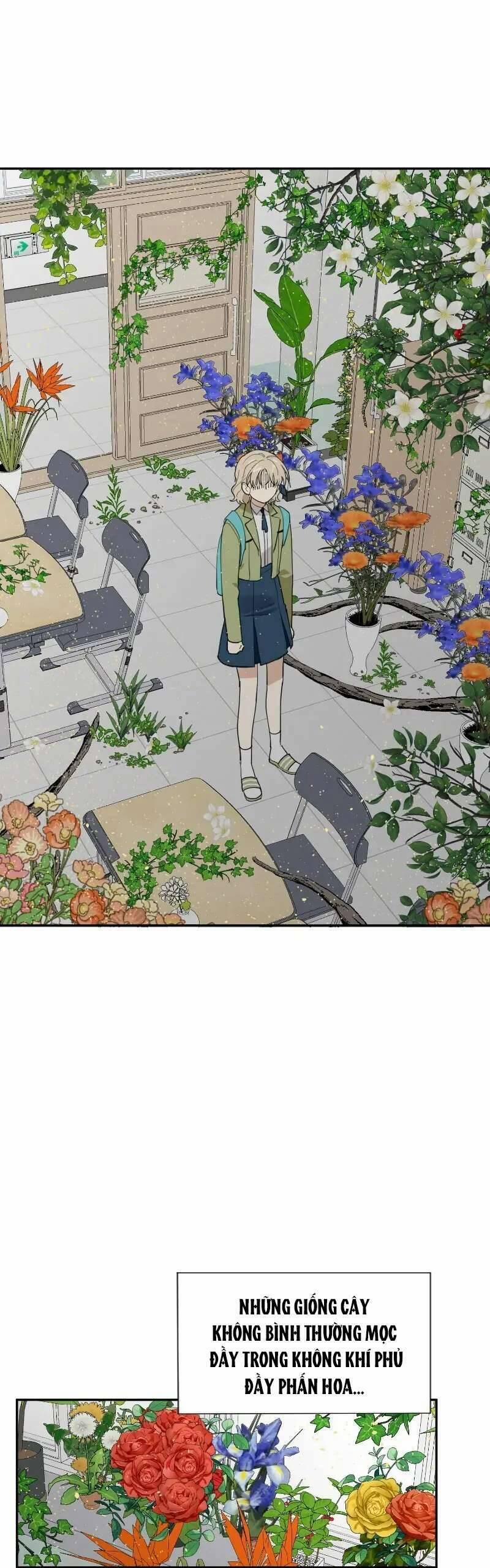 Điều Ước Sao Băng 11 trang 1