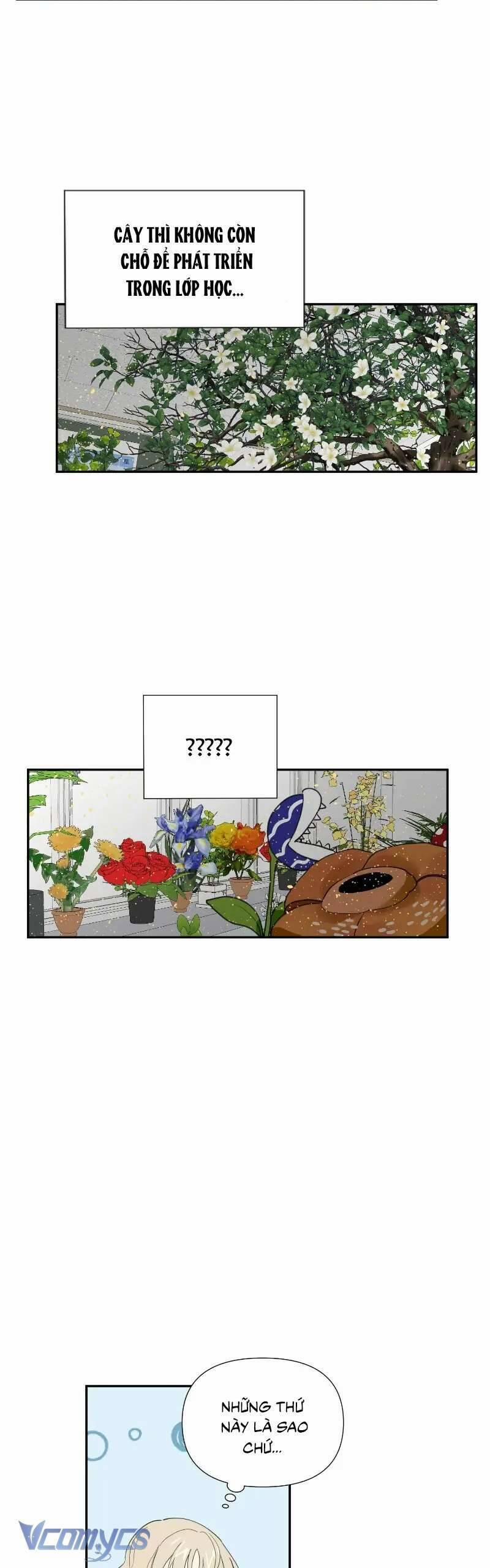 Điều Ước Sao Băng 11 trang 2