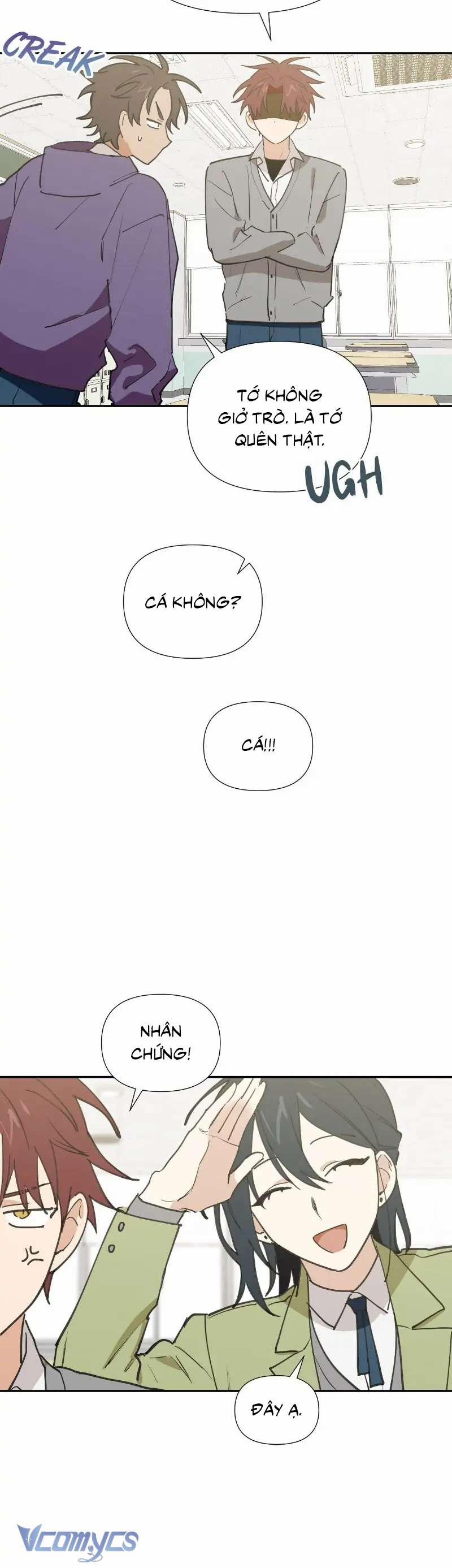 Điều Ước Sao Băng 12 trang 12