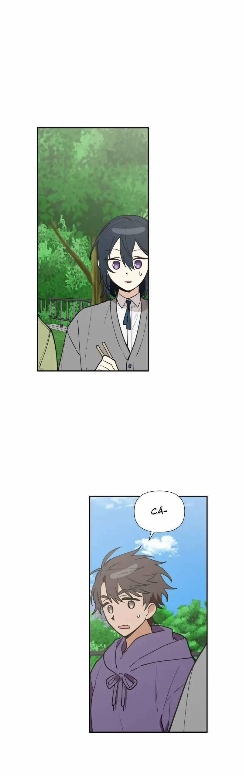 Điều Ước Sao Băng 29 trang 31