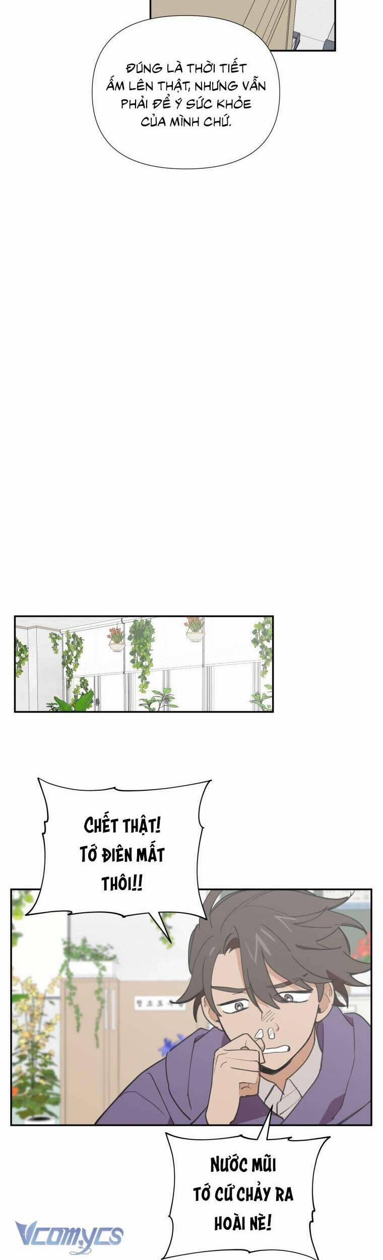 Điều Ước Sao Băng 9 trang 10