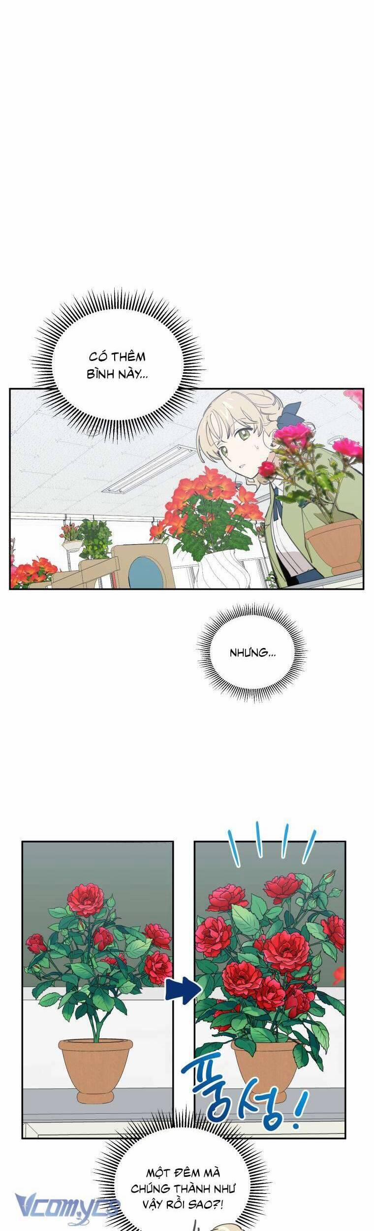 Điều Ước Sao Băng 9 trang 6