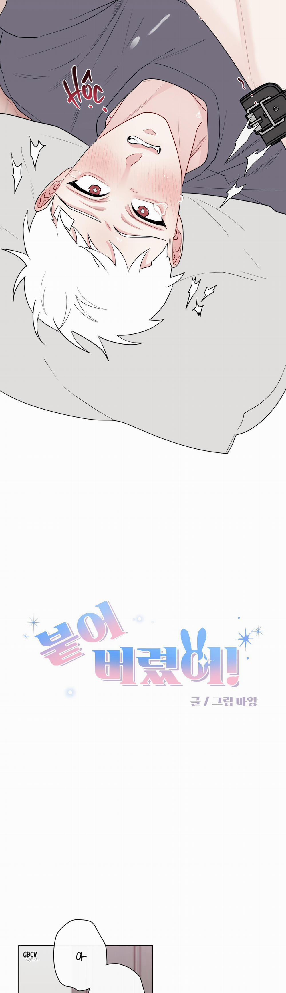 Dính Chặt Mất Rồi!!! 11 trang 3