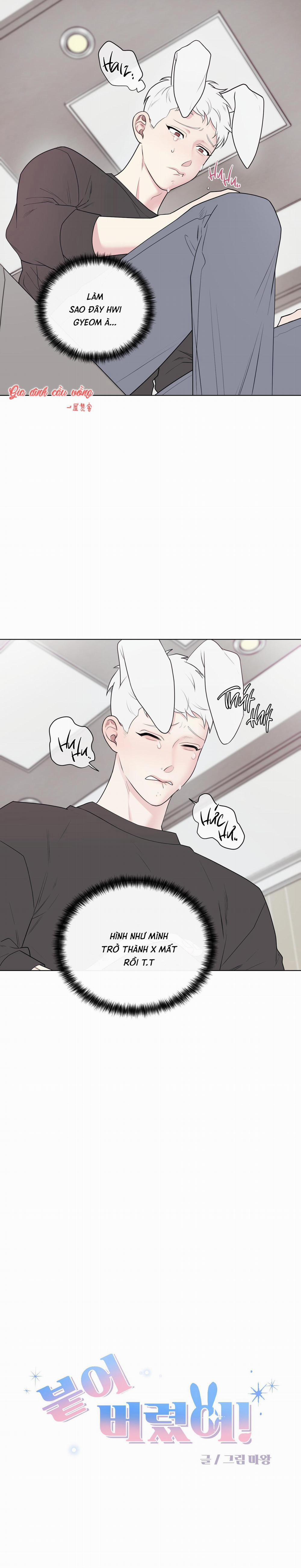 Dính Chặt Mất Rồi!!! 4 trang 1