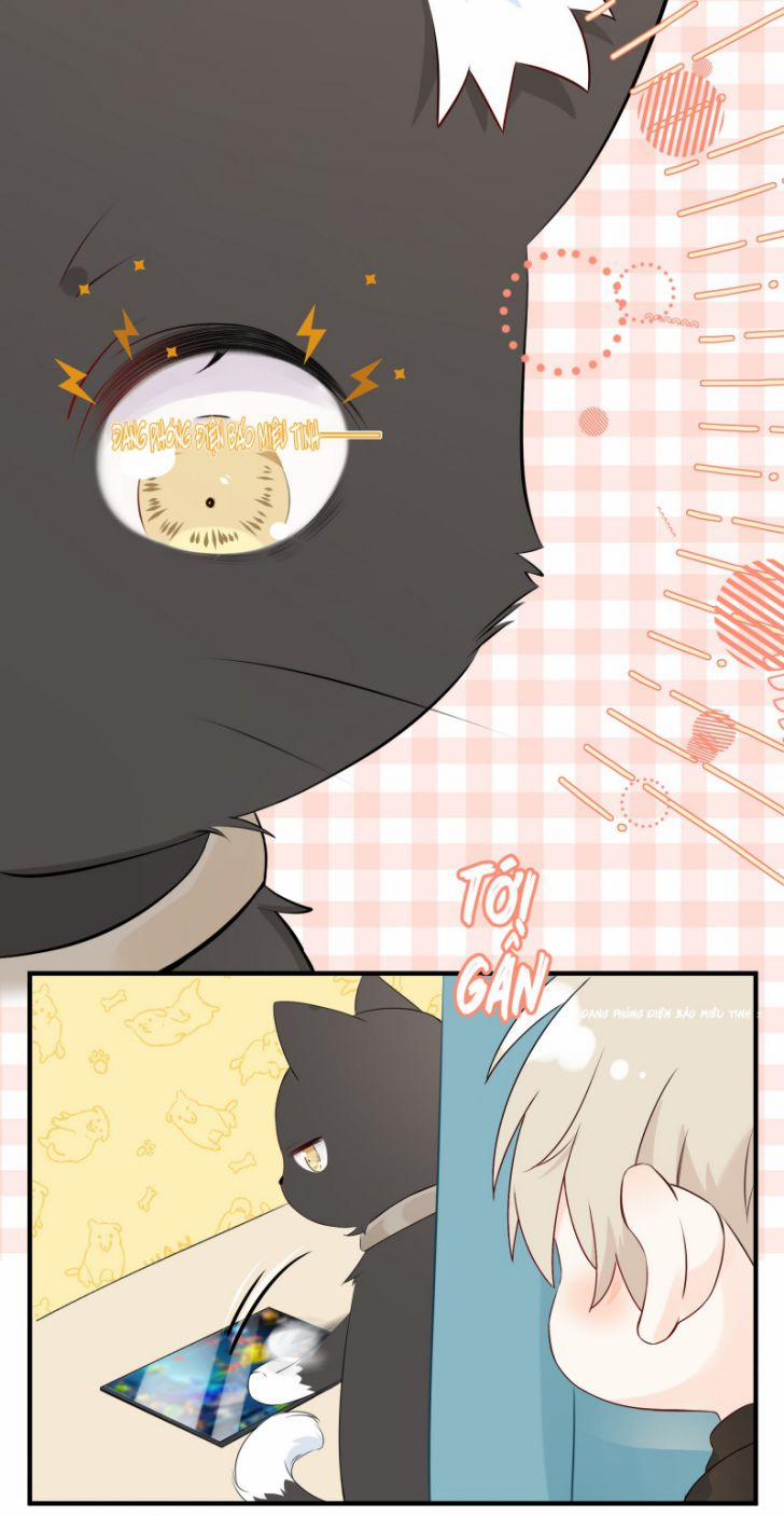 Dinh Dưỡng Quá Tốt 11 trang 37