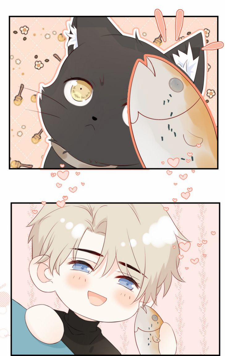 Dinh Dưỡng Quá Tốt 11 trang 39