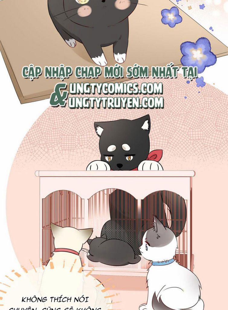 Dinh Dưỡng Quá Tốt 12 trang 23