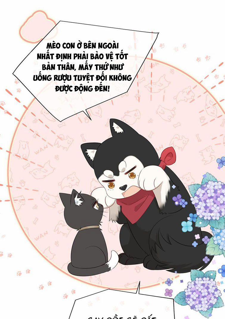 Dinh Dưỡng Quá Tốt 14 trang 47