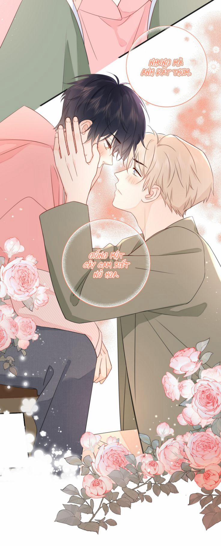 Dinh Dưỡng Quá Tốt 15 trang 18